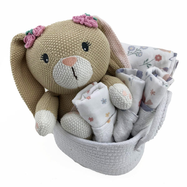 baby Girl Gift basket with Bunny toy, hodded towel and 3 wash cloths